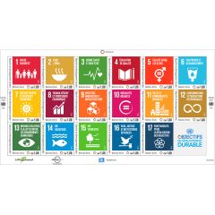 2016 Sustainable Development Goals Mini Sheet